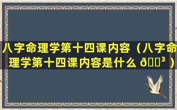 八字命理学第十四课内容（八字命理学第十四课内容是什么 🌳 ）